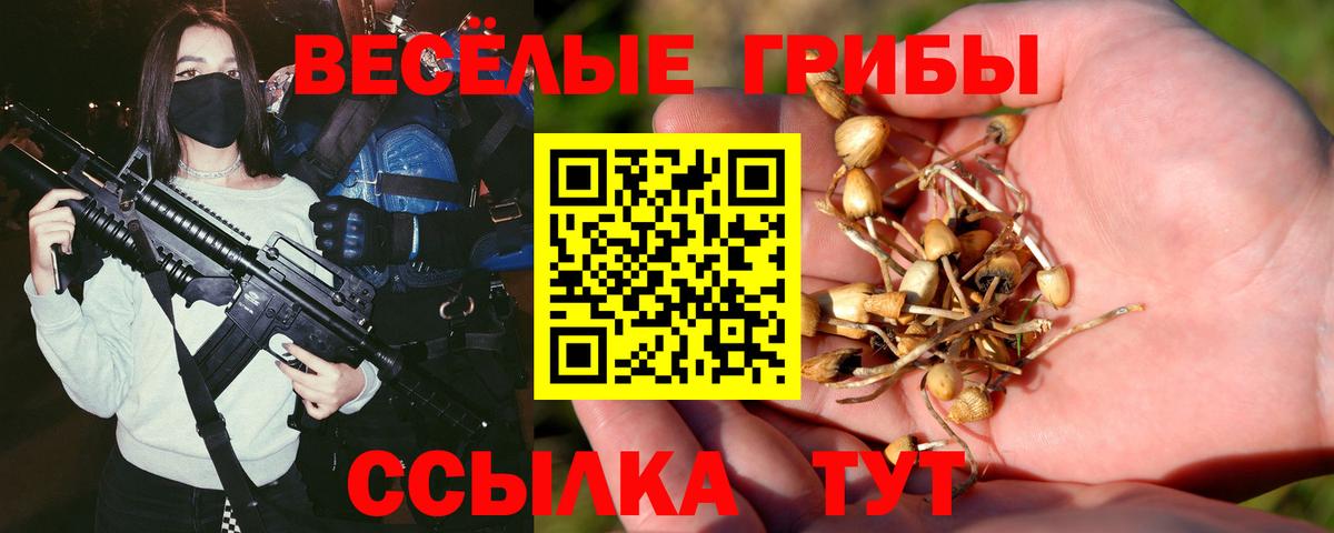 Псилоцибиновые грибы Psilocybine cubensis Апшеронск