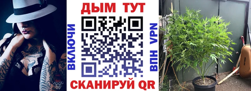 darknet клад  купить закладку  Апшеронск  Марихуана White Widow 